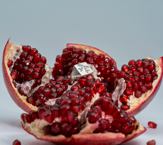 Poissons Ring