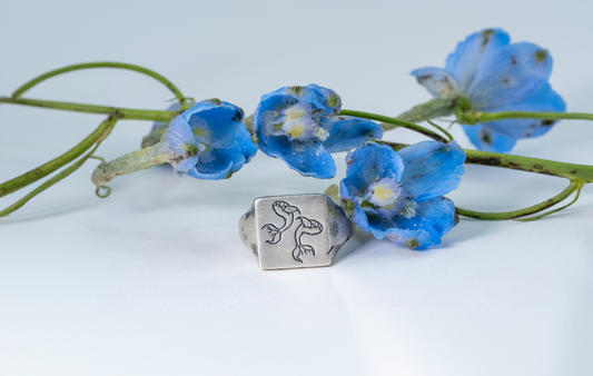 Poissons Ring