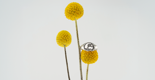 Verseau Ring